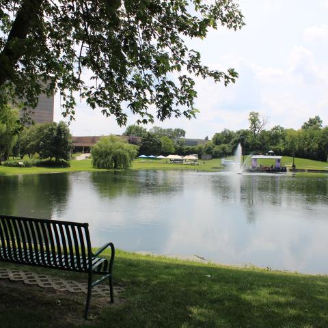 Pond and bench 