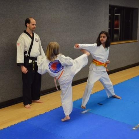 Karate program 