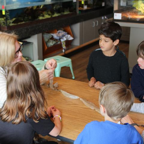 Children learning about snake shedding 